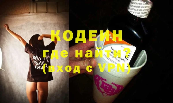 прущие грибы Няндома