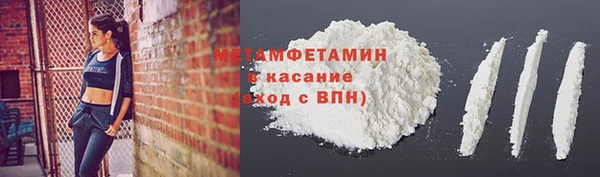 прущие грибы Няндома