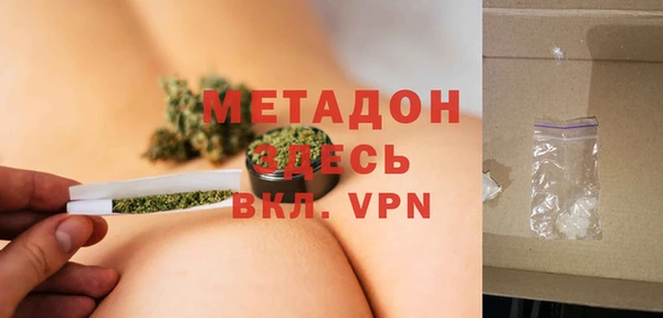 прущие грибы Няндома