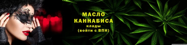 прущие грибы Няндома