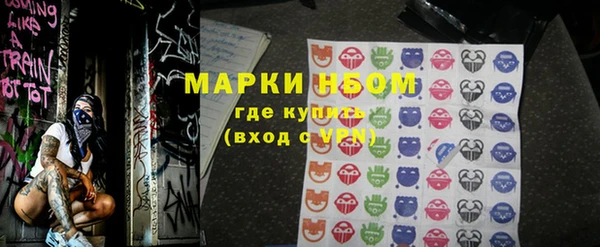мдпв Осинники