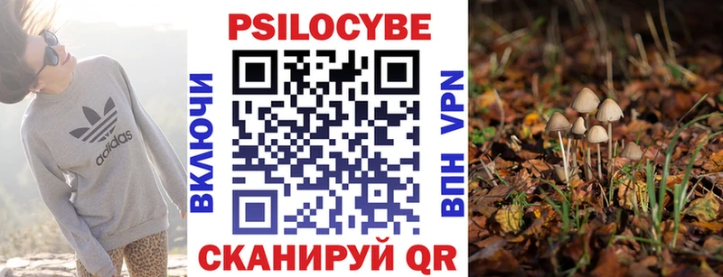 хочу наркоту  Спасск  нарко площадка состав  Псилоцибиновые грибы Magic Shrooms 